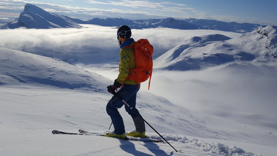 16710421_10202870070349129_986709762_o 16710421_10202870070349129_986709762_o