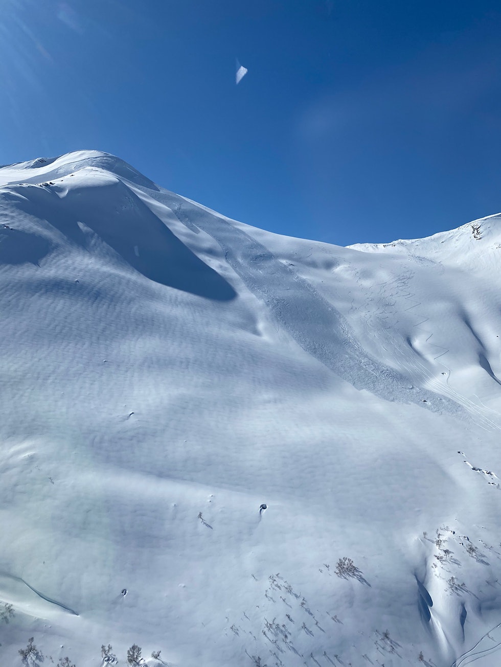 FRA LUFTA: Det var et stort snøskred som gikk, her sett fra lufta. Foto: Helene H. Sæterdal/Norske Redningshunder Snøskred Stardalen