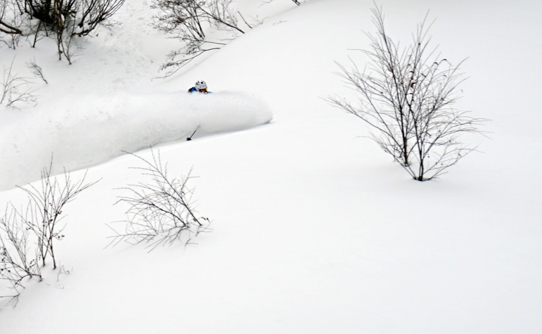 Buskete men djupt Foto Olav Tarjei Valebjørg Buskete men djupt Foto Olav Tarjei Valebjørg