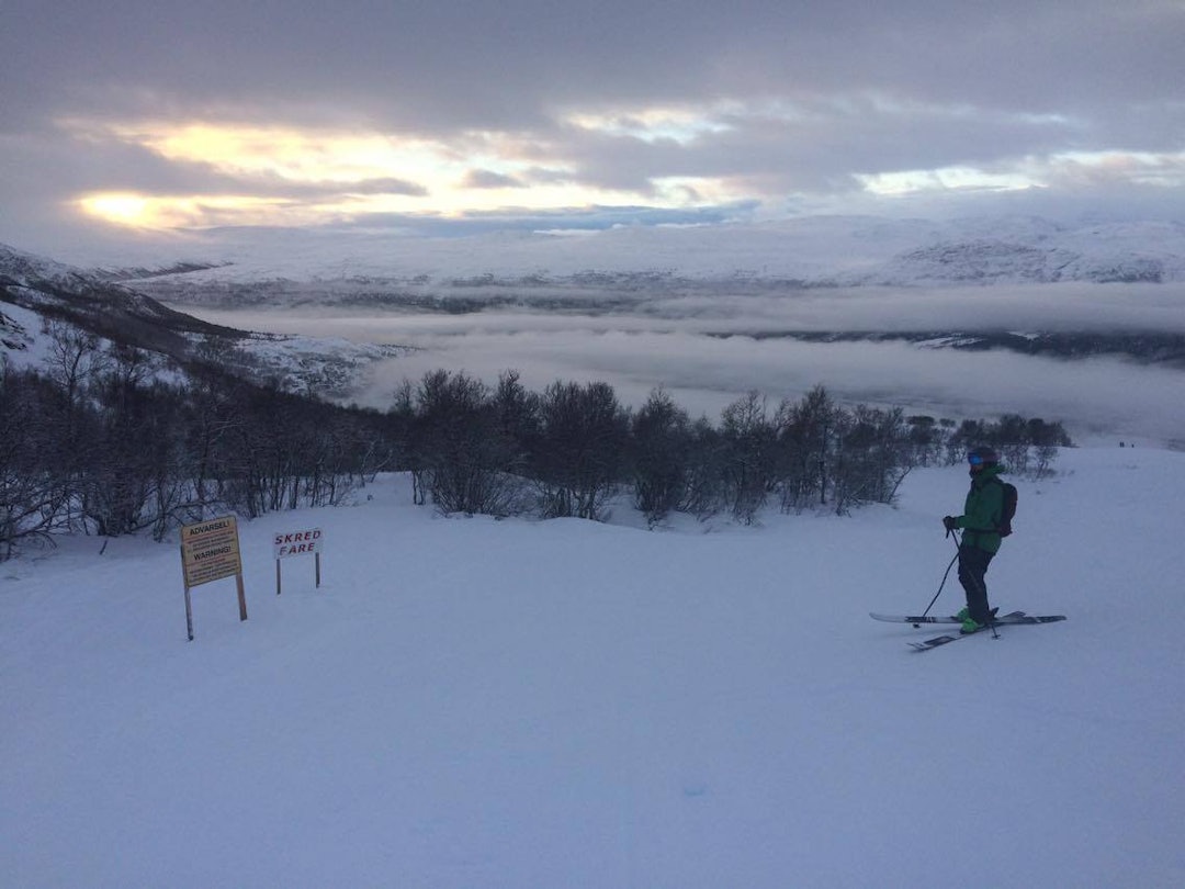 bjorliskred bjorliskred