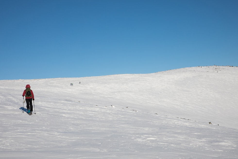 MOT TOPPEN: Den siste biten mot toppvarden er slak, men skal du nå de fineste nedkjøringene må du ta turen helt opp. Foto: Tore Meirik topptur roksdalskammen oppdal