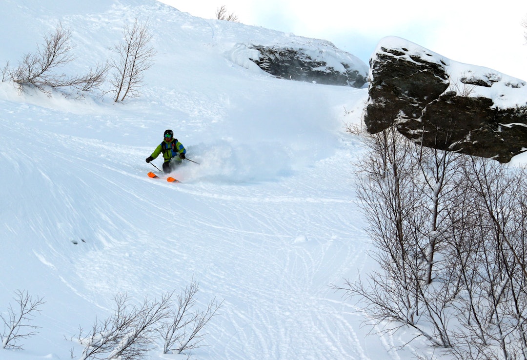 Henke-Bodegaen Henke-Bodegaen