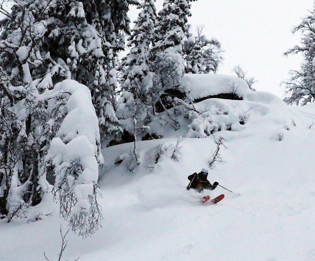 Even-Søberg-Skog Even-Søberg-Skog