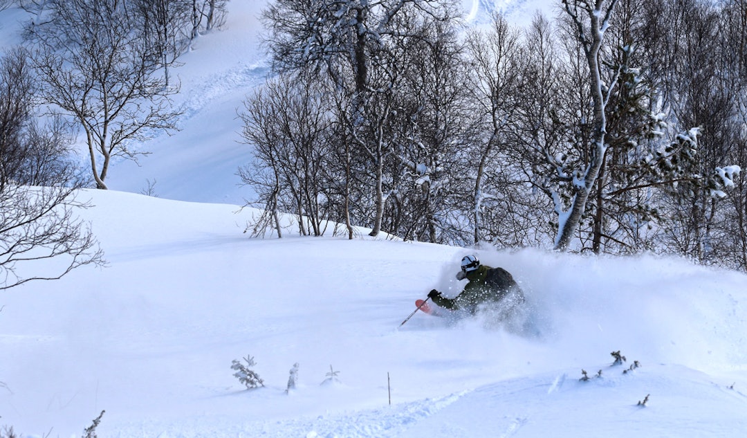 Even-Søberg-Bodegan Even-Søberg-Bodegan