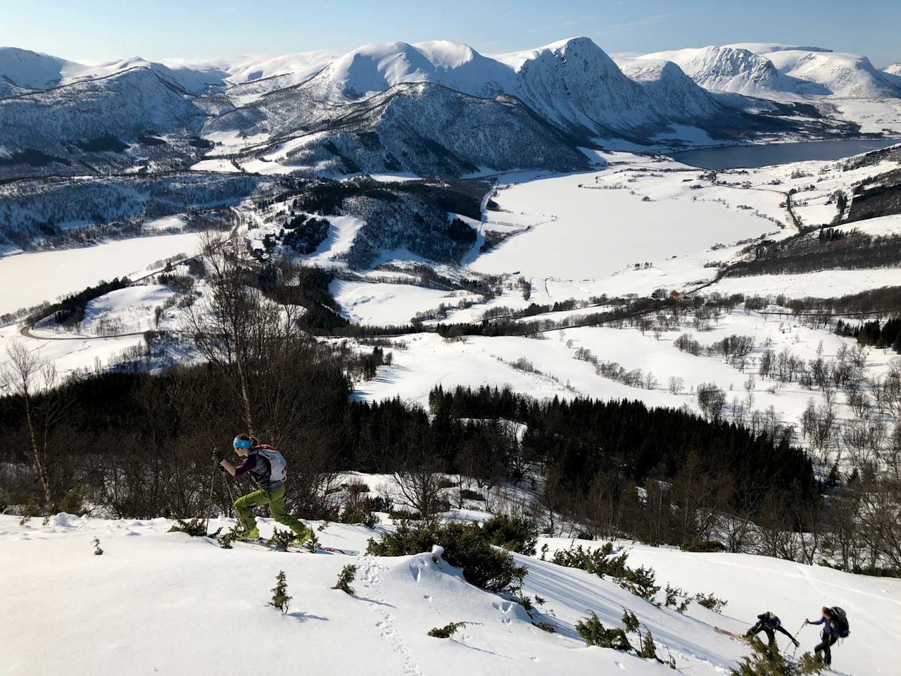 Margrethe M. Dramsdahl mellom einebærbusker på vei opp til Storhornet. Margrethe M. Dramsdahl mellom einebærbusker på vei opp til Storhornet.