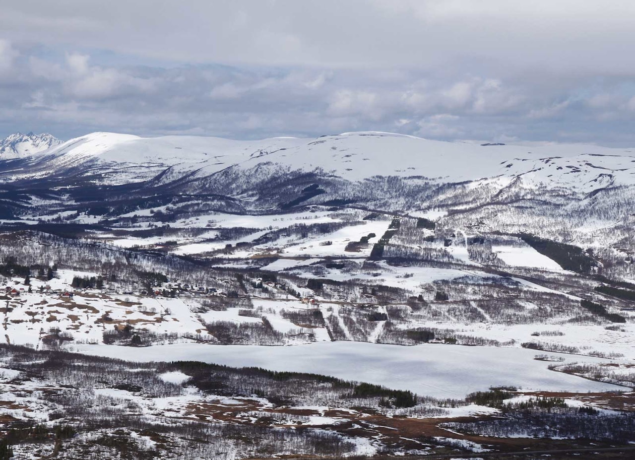 Foto: Harald Dramsdahl Foto: Harald Dramsdahl