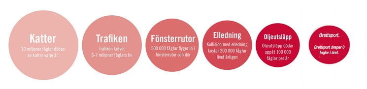 brettsport 1 brettsport 1