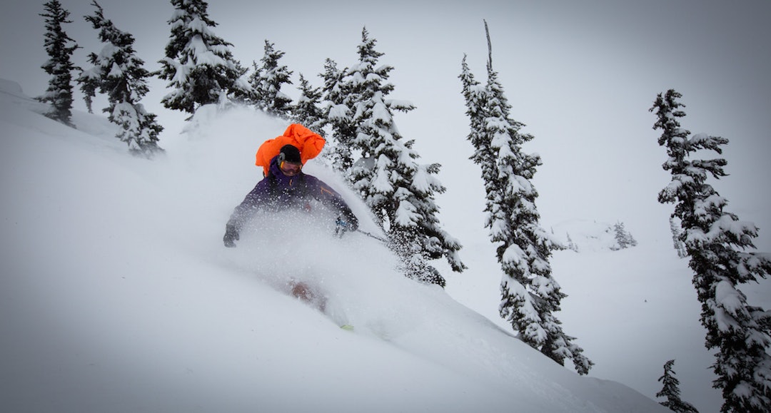 2015_BC_Callaghan_F16_ProclineVoltair_JK-0065 2015_BC_Callaghan_F16_ProclineVoltair_JK-0065