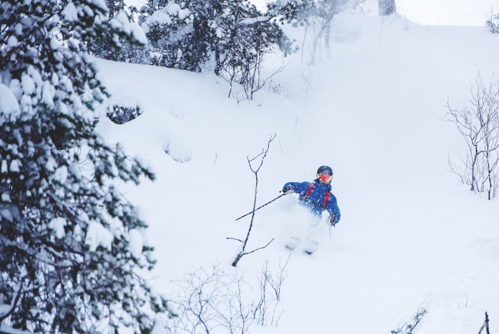 LOKAL HELT: Lokale Alexander Naustbakk vet hvor han skal peke skiene for å finne de fineste åpningene i skogen.