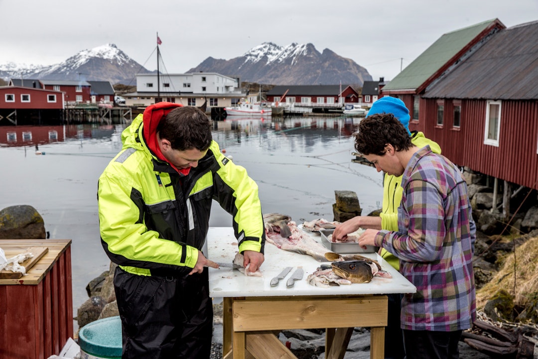 315_1194_lofoten_15_bydavidbirri 315_1194_lofoten_15_bydavidbirri