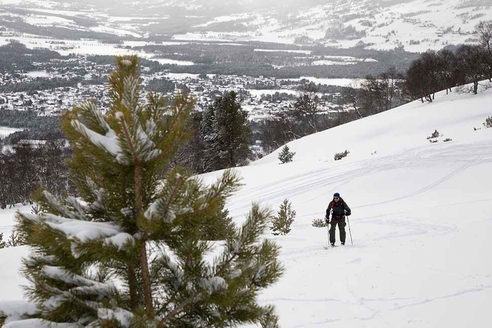OPPTUR: Ole-Jørgen på vei opp. Forslag til Oppdal skisenter: Åpne for gratis henting av juletre i Storstugguløypa. Da blir skikjøringa bedre og folk glade. Foto: Tore Meirik oppdal topptur korona ski