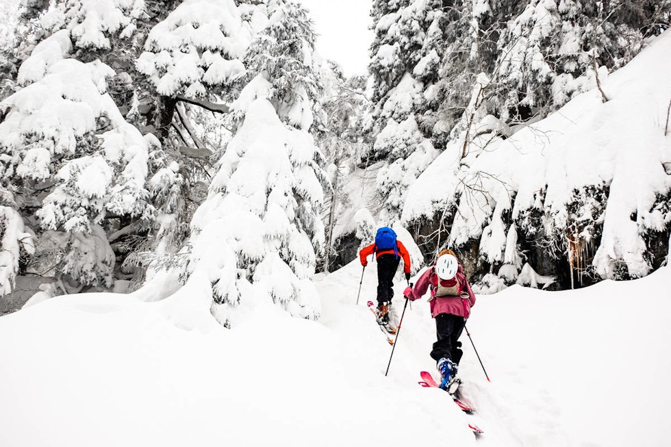 MARIDALEN: Oslo kan by på mange fine toppturer. Foto: Ina Othilie Vikøren Tømtekleivene Mellomkollen