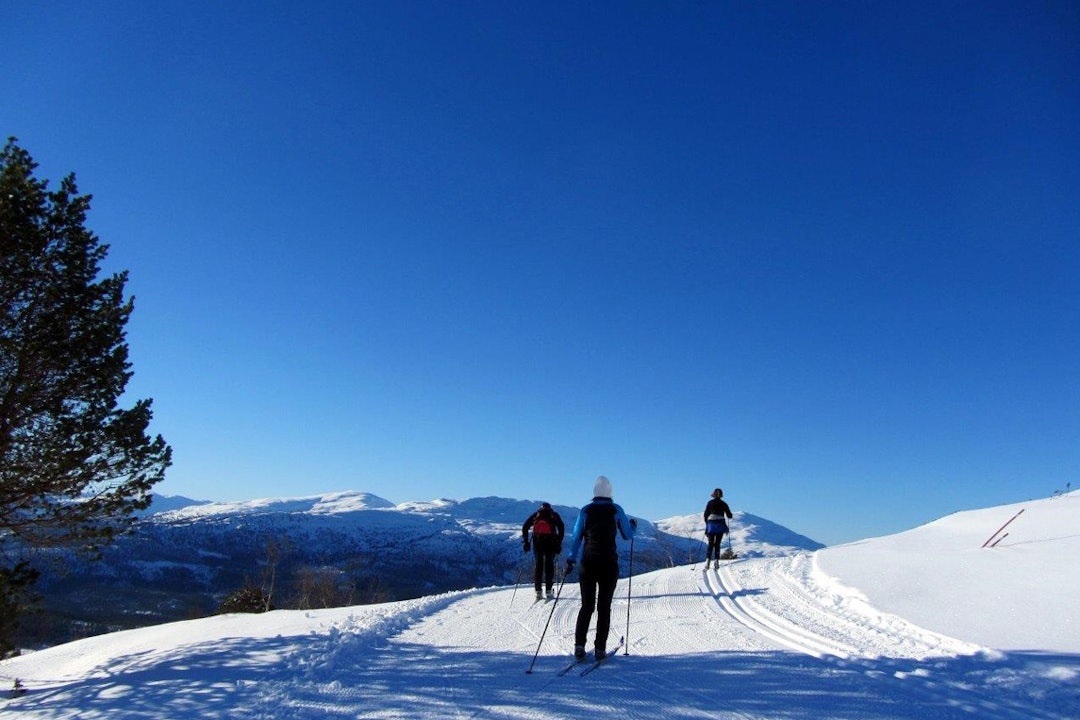 Langrennstur med fjordutsikt er noe helt annet enn marka i bakgården din! Foto: Fjord Norge turloyper stryn foto fjord norge