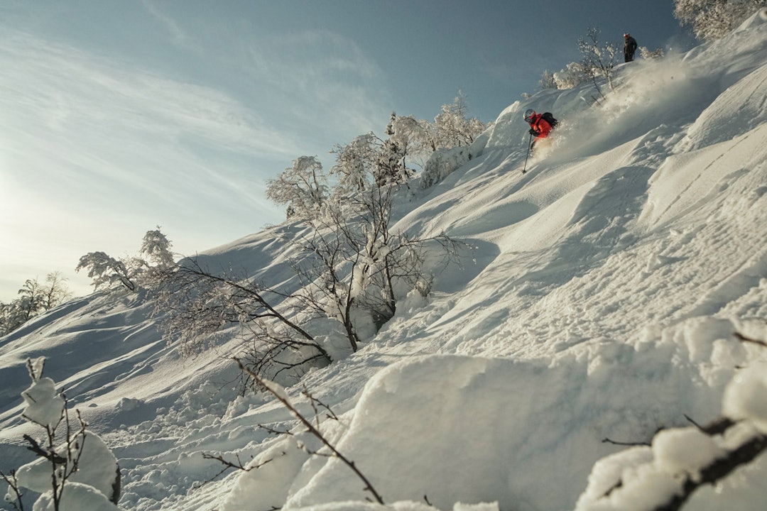 Flotte skogslinjer i Sogndal Heggemyrane. Foto: Christian Nerdrum Heggis Sogndal skogslinjer