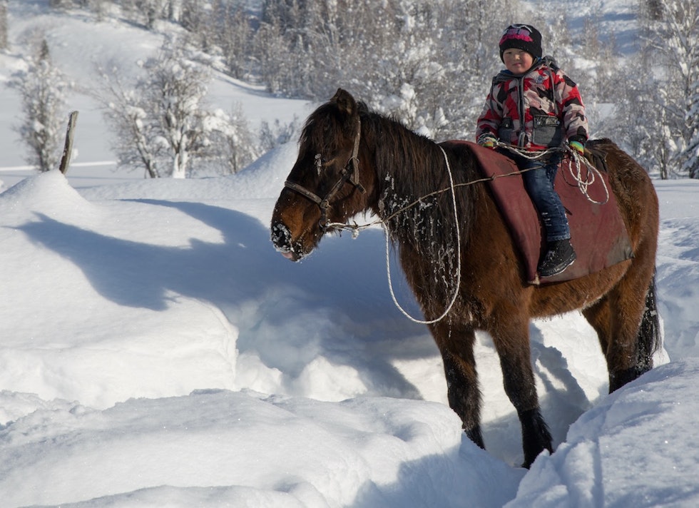 ARVING: Ineral er fem år og erfaren rytter. Hesten er arbeidsredskap, transportmiddel og mat i Altaifjellene. Bilde: Espen Finstad