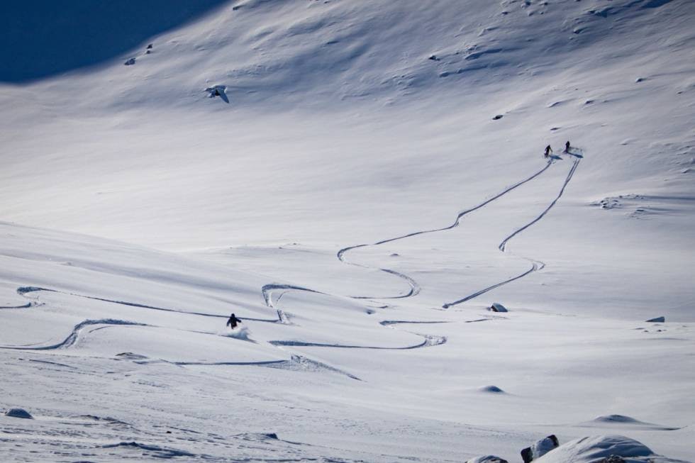 ENSOMME: Sol og Are følger med mens Petter navigerer minefeltet. Foto: Magnus Utkilen