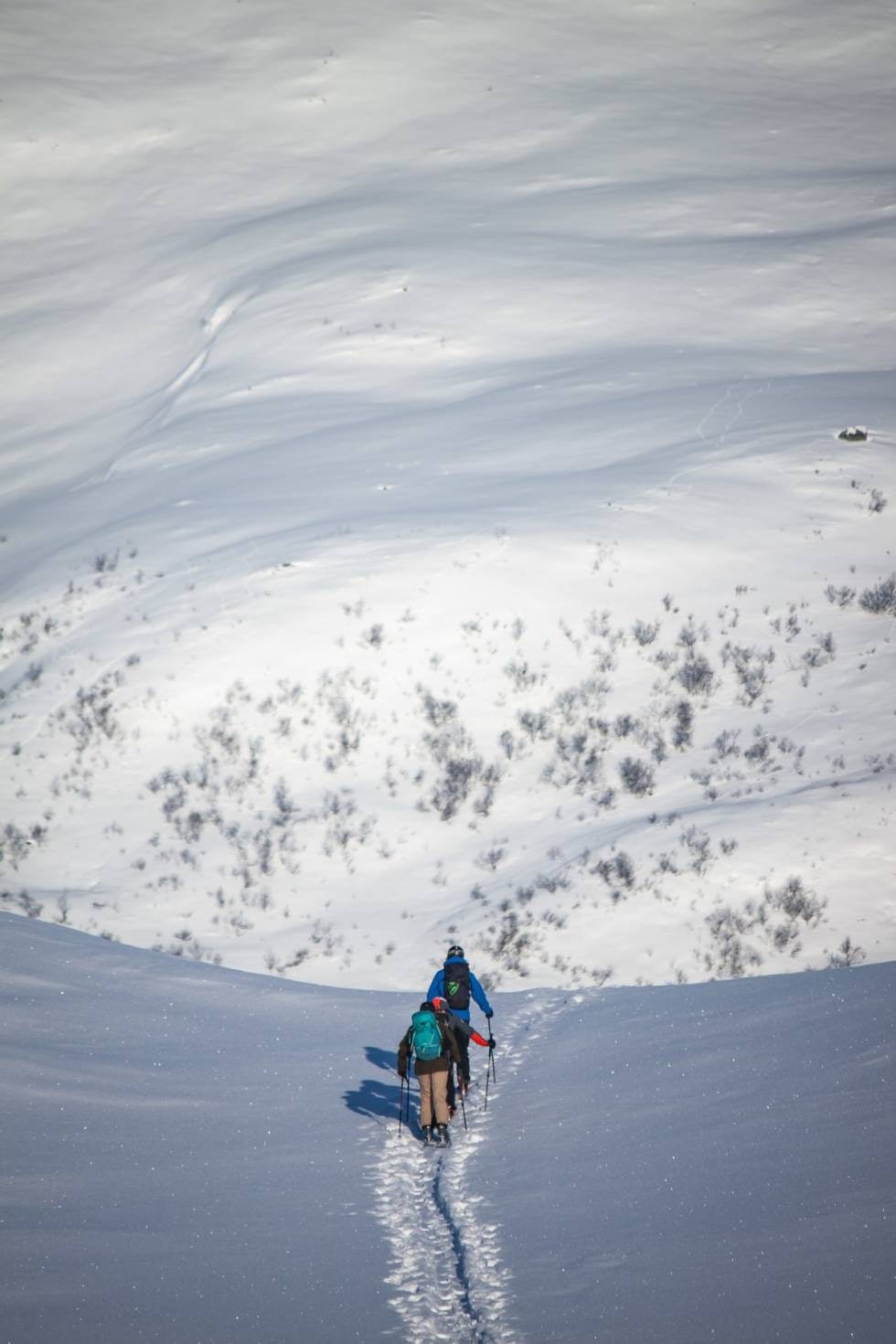 FELLER: På vei mot en bratt og nesten urørt fjellside. Foto: Magnus Utkilen