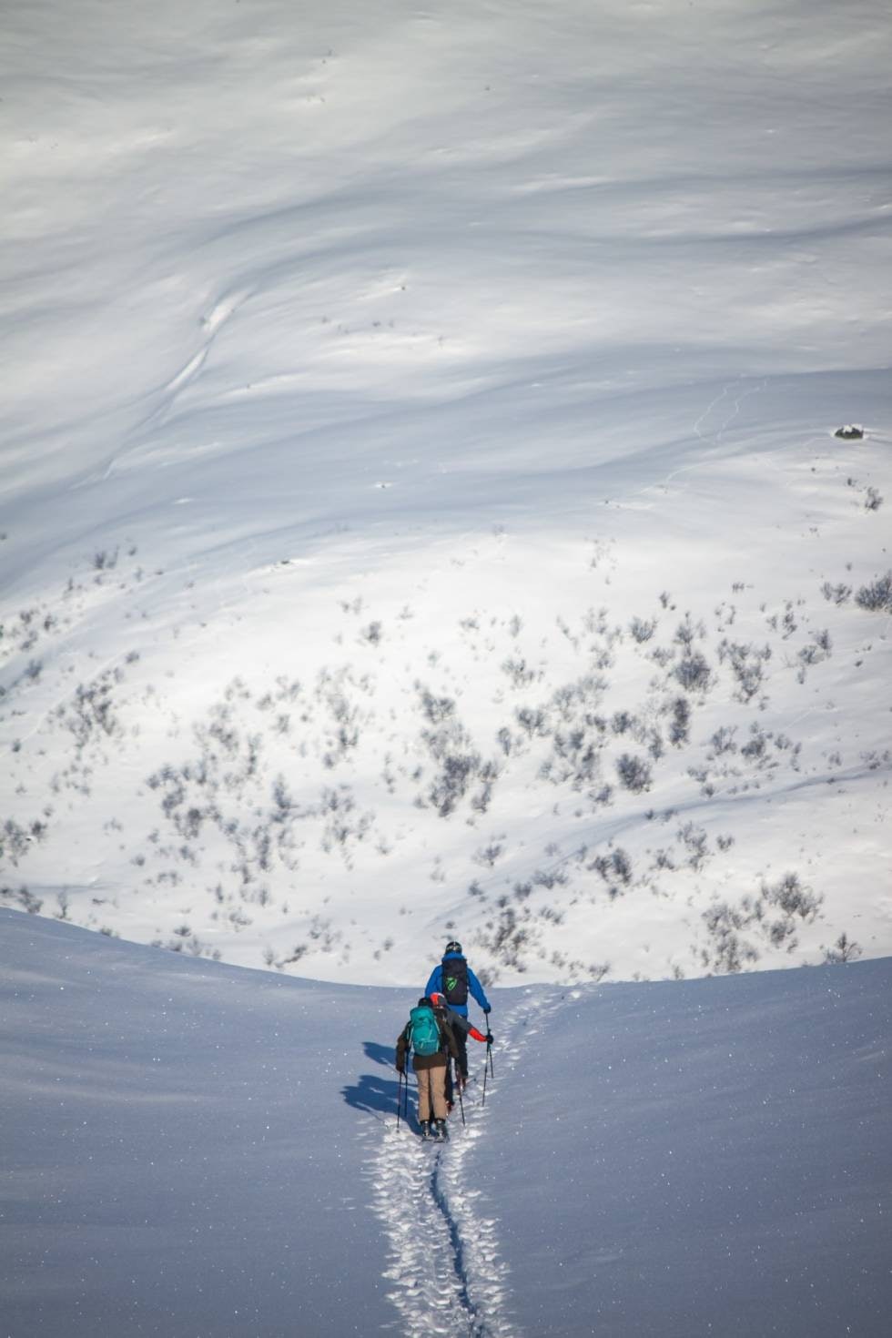 FELLER: På vei mot en bratt og nesten urørt fjellside. Foto: Magnus Utkilen FELLER: På vei mot en bratt og nesten urørt fjellside. Foto: Magnus Utkilen