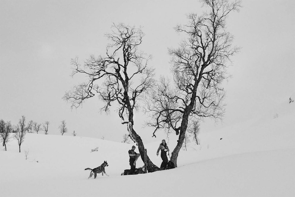 VANT: Bildene i denne saken ble tatt i Sogndal un- der fotokonkurransen Darks Days i januar. Sigurd Løvfall og Sondre Loftsgarden var skikjørere på laget til vinneren Anki Grøthe. Med på laget var også hunden til Grøthe. Foto: Anki Grøthe Anki Grøthe