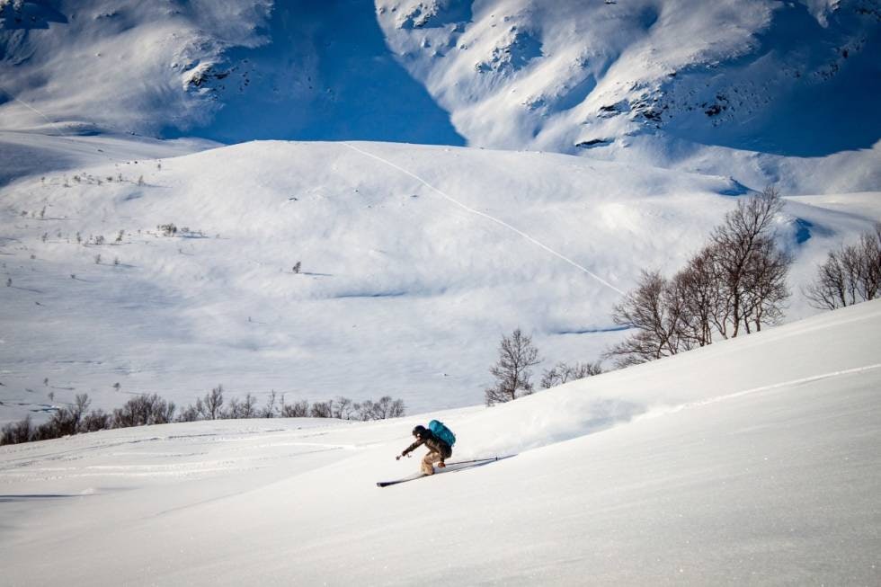 FØRSTESPOR: Sol får gleden av førstesporet ned denne fjellsiden. Foto: Magnus Utkilen