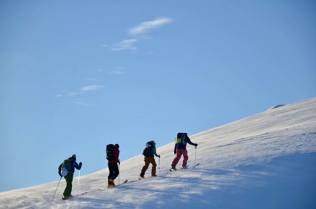 Mot toppen av Øyastølsfjellet i Jordalen. Foto/ Wild Voss. Trygg topptur voss øyastølsfjellet jordalen