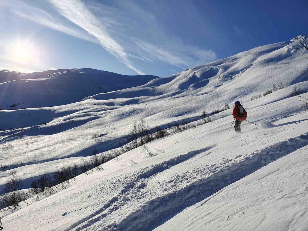 Mye terreng å velge i. Skreieggi. Foto/ Wild Voss. Skreieggi trygg topptur voss