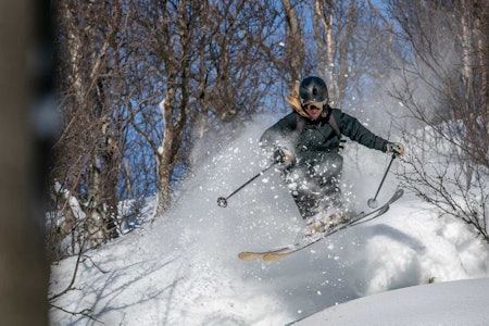 Foto: Veri Media Foto: Veri Media
