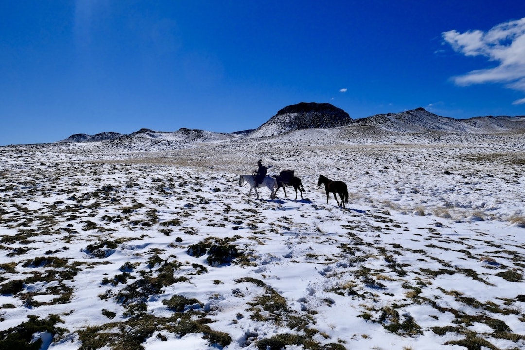 Det var her på hesteryggen i Patagonia i fjor høst at Marcus Aspsjö fikk ideen til å svømme Sognefjorden på langs i år. Foto: Privat