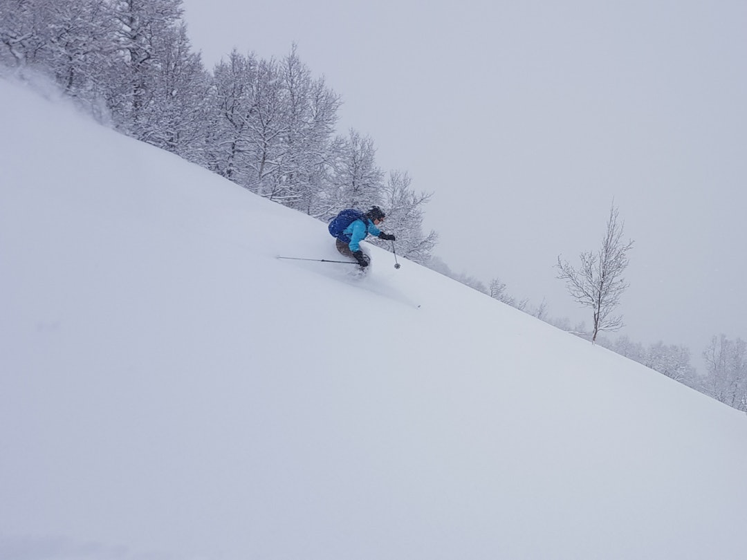 SNØDUMP: Fem damer fikk virkelig utnyttet snødumpet i Romsdalen. Foto: Ragni Klokkerstuen Odéen Pudder i Romsdalen