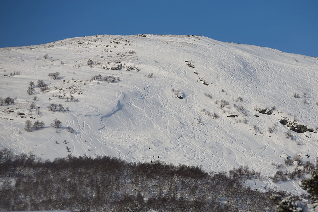 SKRED: Her ser du skredet som har gått, med flere personer som graver i området. Foto: Tore Meirik Skredet