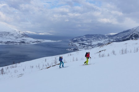 Fhoto: Georg Sichelschmidt Fhoto: Georg Sichelschmidt