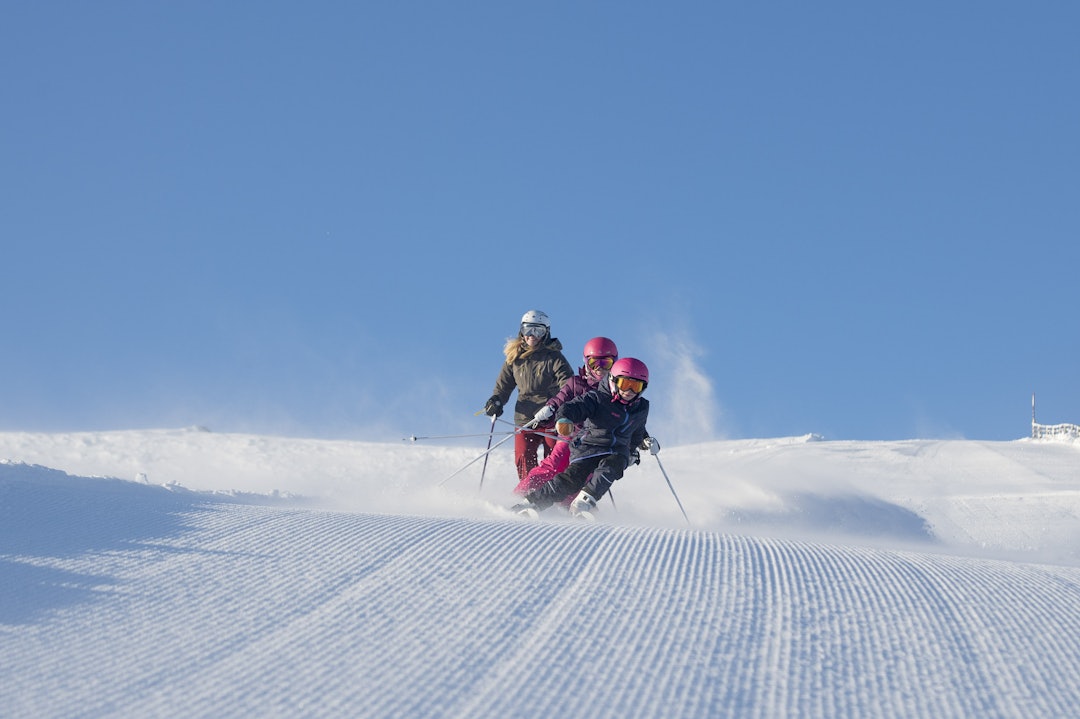 EN CARVINGFAMILIE: En slange med skiløpere på cordfløyel er uforfalsket moro. Foto: Ola Mattsson. EN CARVINGFAMILIE: En slange med skiløpere på cordfløyel er uforfalsket moro. Foto: Ola Mattsson.