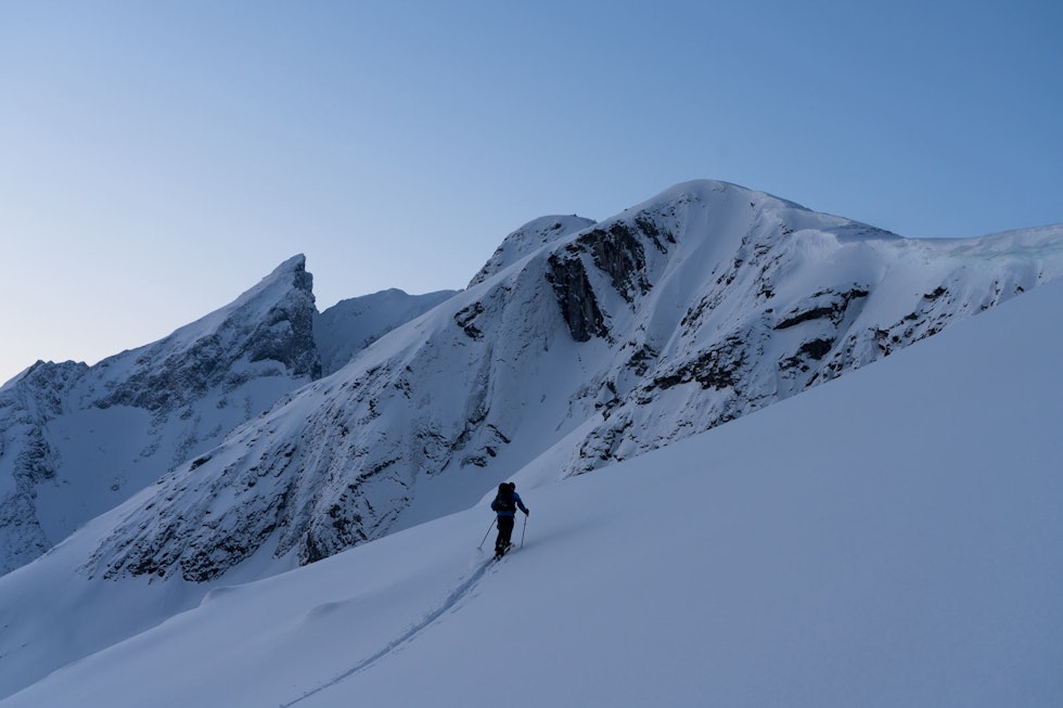MORGONLYS: Ein blir liten mellom kjempane i Romsdalen. Blånebba-2