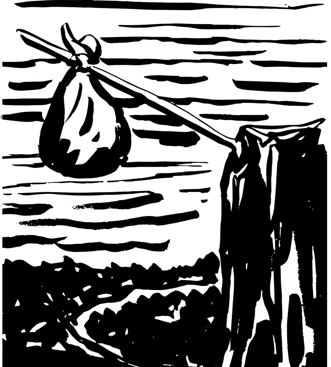 Chattooga-3 Chattooga-3