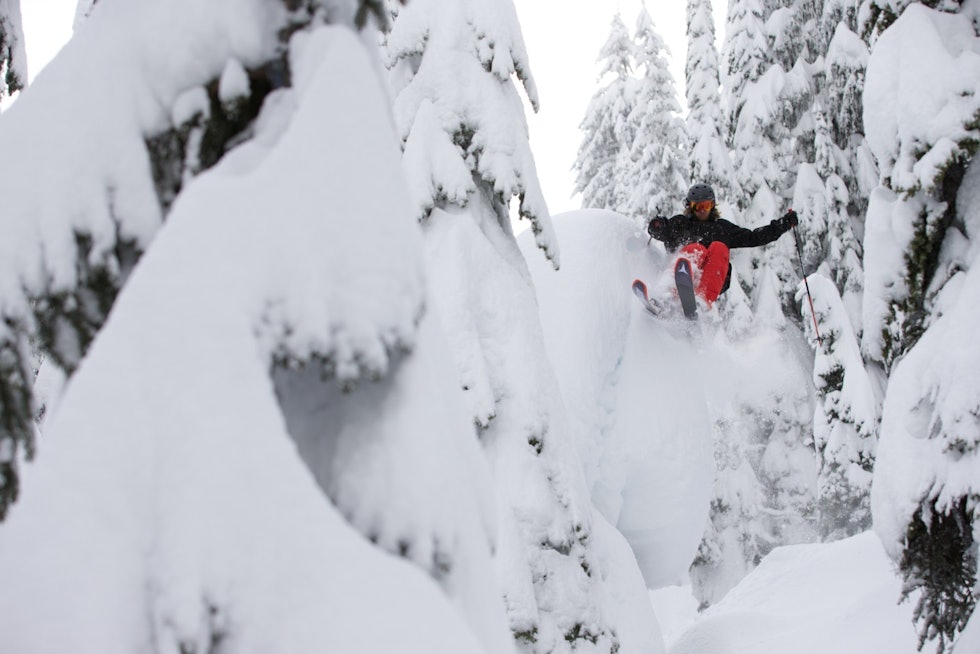 PUTER: Typisk Canada; masse snø, pillows og en langhåra skiproff som herjer oppe i et tre. Bilde: Bryan Ralph Canada