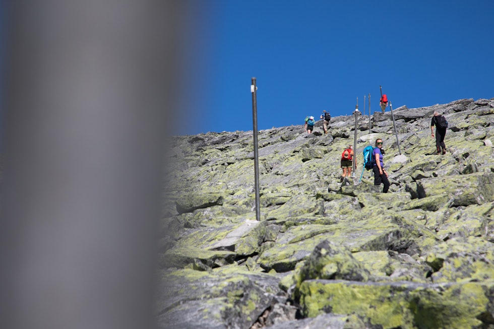 SKJEMMENDE: Lange metallstolper hele veien langs den populære stien opp på Snøhetta. Foto: Tore Meirik Snøhetta snøhettatraversen