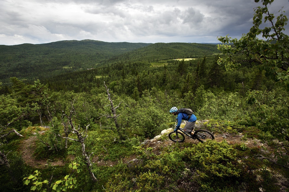 BAKGÅRD: Knut Myking har stier i nabolaget de fleste kan misunne. BAKGÅRD: Knut Myking har stier i nabolaget de fleste kan misunne.
