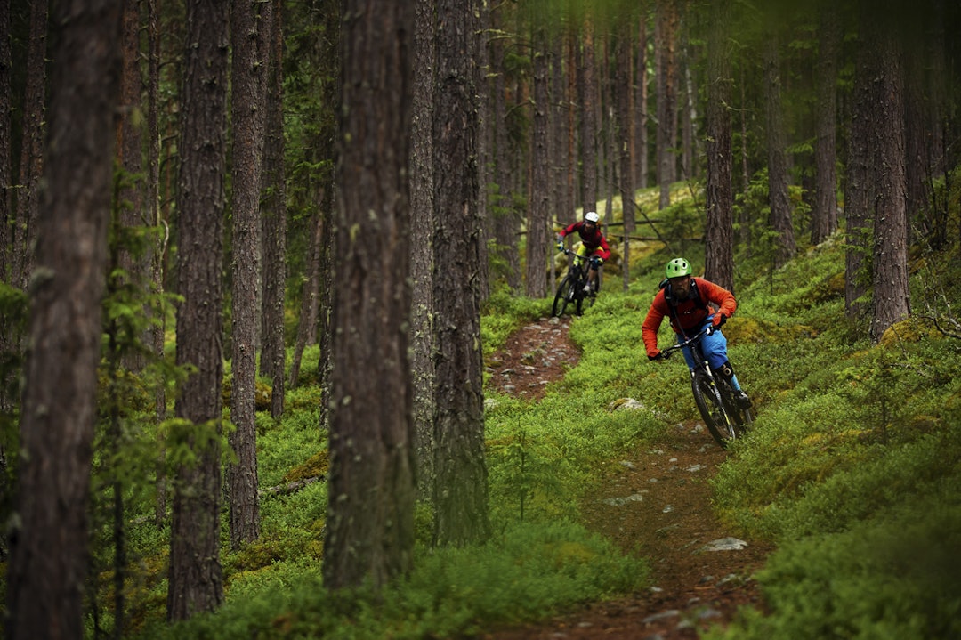 TIL SENTRUM!: Bjørn Jarle Kvande har med Mathias Marley på besøk. Stiene som ligger like ved Riksvei 7 er verdt en stopp underveis på bilturen. TIL SENTRUM!: Bjørn Jarle Kvande har med Mathias Marley på besøk. Stiene som ligger like ved Riksvei 7 er verdt en stopp underveis på bilturen.