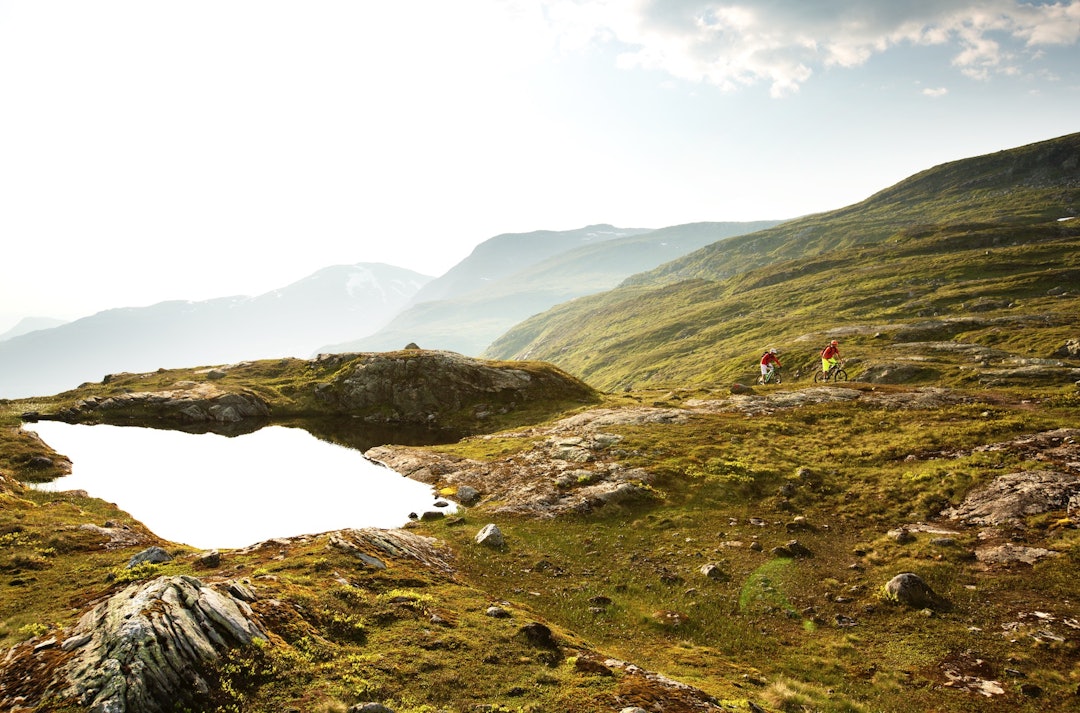 Skjermbilde 2017-08-25 kl. 10.32.45 Skjermbilde 2017-08-25 kl. 10.32.45