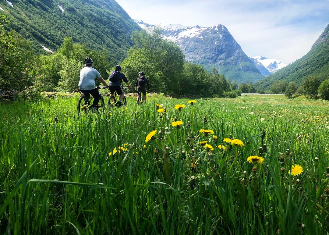 Dette bildet fra Strynefestivalen 2019 ble kåret til festivalens beste bilde. Foto: Kathrine Christensen Dette bildet fra Strynefestivalen 2019 ble kåret til festivalens beste bilde. Foto: Kathrine Christensen