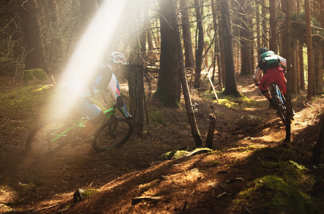 BARNÅLSURFING: Fra Haugsvarden ned mot Gloppefjorden må du regne med å treffe forskjellige typer terreng. Løs barnålsskogsbunn gjør det hele litt ekstra spennende. BARNÅLSURFING: Fra Haugsvarden ned mot Gloppefjorden må du regne med å treffe forskjellige typer terreng. Løs barnålsskogsbunn gjør det hele litt ekstra spennende.