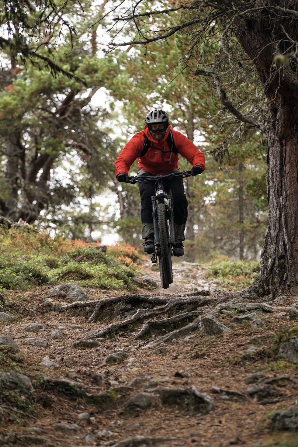 LEKENT TERRENG: Er du glad i å få luft under hjulene kan du glede deg til nedkjøringa fra Putten seter. Foto: Hans Petter Hval Rondane stisykling Formokampen
