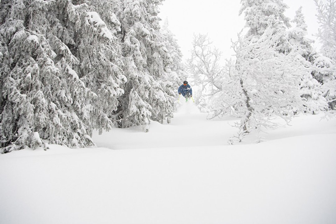 TRYSIL: Anders Backe fikk nyte nysnøen i Trysil. Foto: Ola Matsson Skikjører Anders Backe i skogen i Trysil