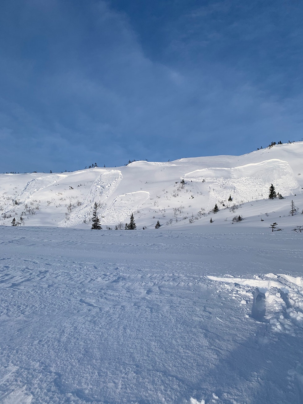 SKRED: Slik så fjellsiden ved Kirkebyfjellet i Meråker ut. Foto: Harald Wanvik Snøskred Meråker