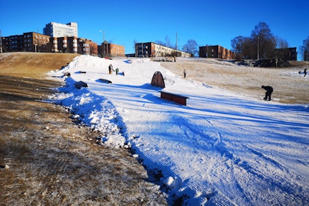 LOKALT: Ildsjelparken i Torshovdalen på østkanten i Oslo. Foto: Henrik Alpers LOKALT: Ildsjelparken i Torshovdalen på østkanten i Oslo. Foto: Henrik Alpers