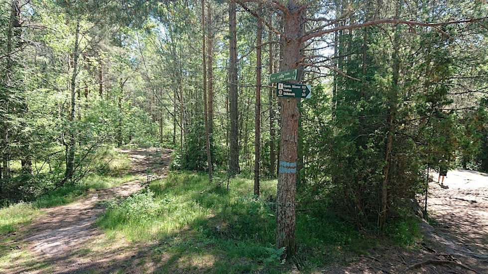 NATURLIG: Rett på den andre siden av E6 kommer du inn på de fine stiene på Gjelleråsen. Foto: Erlend Sande sti Gjelleråsen