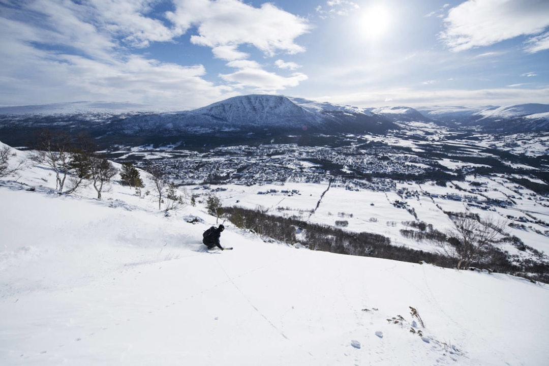 POPULÆR SKOG: Vestsida i Hovden har ypperlig skogskjøring når snøforholdene er gode. Oppdalingen Sveinung Jacobsen er tidlig ute og får førstespor i de populære offpistområdet. Foto: Martin Innerdal Dalen. POPULÆR SKOG: Vestsida i Hovden har ypperlig skogskjøring når snøforholdene er gode. Oppdalingen Sveinung Jacobsen er tidlig ute og får førstespor i de populære offpistområdet. Foto: Martin Innerdal Dalen.
