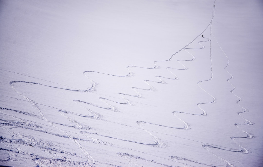 Foto: Mohsen Anvaari Foto: Mohsen Anvaari