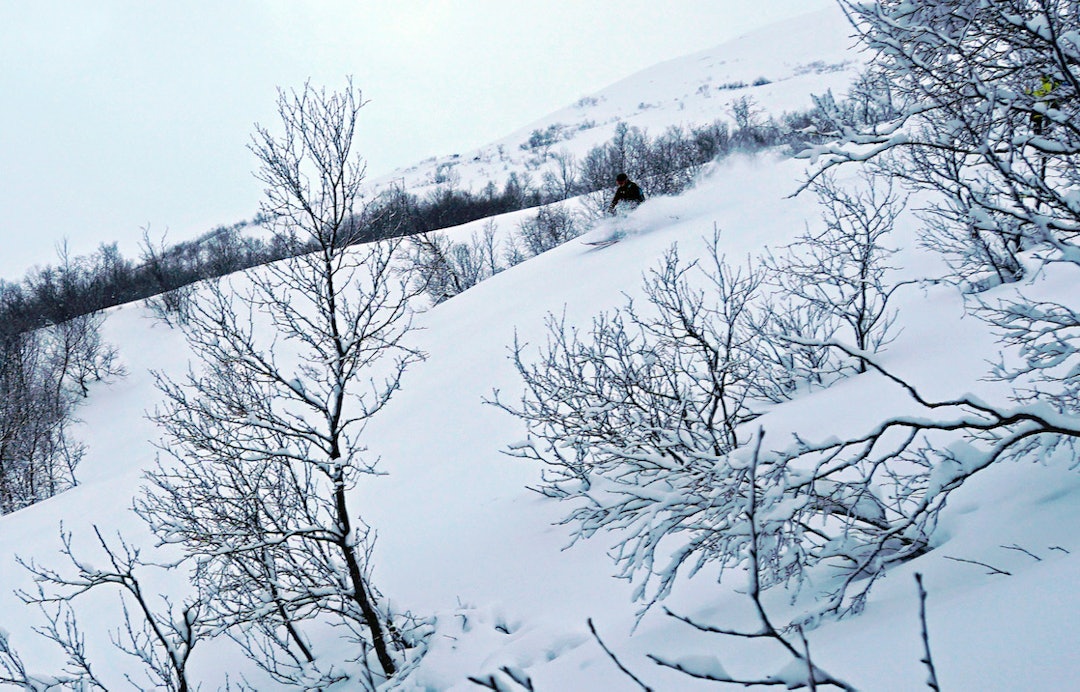 LA DET BLI POW: Strandafjellet leverte i helgen, og godsakene fortsetter å lave ned. Foto: Olav Tarjei Valebjørg LA DET BLI POW: Strandafjellet leverte i helgen, og godsakene fortsetter å lave ned. Foto: Olav Tarjei Valebjørg