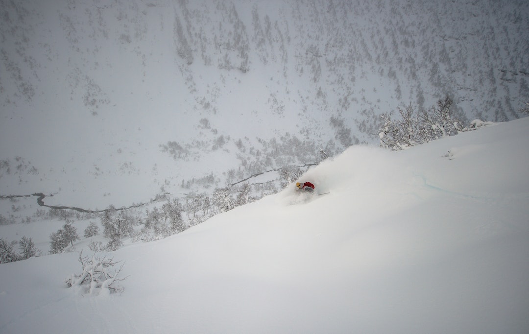 GOD RETNING: Åsmund Hårklau tar peiling mot riksveien og elva. I skogen nedenfor ham får du noen av Myrkdalens neste svinger. Foto: Sverre Hjørnevik GOD RETNING: Åsmund Hårklau tar peiling mot riksveien og elva. I skogen nedenfor ham får du noen av Myrkdalens neste svinger. Foto: Sverre Hjørnevik